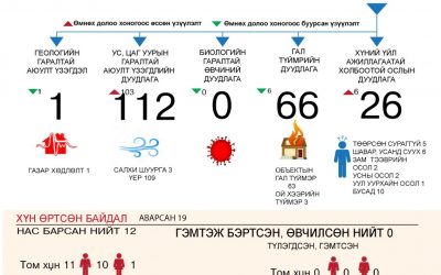 Салбарын үйл ажиллагааны статистик мэдээлэл